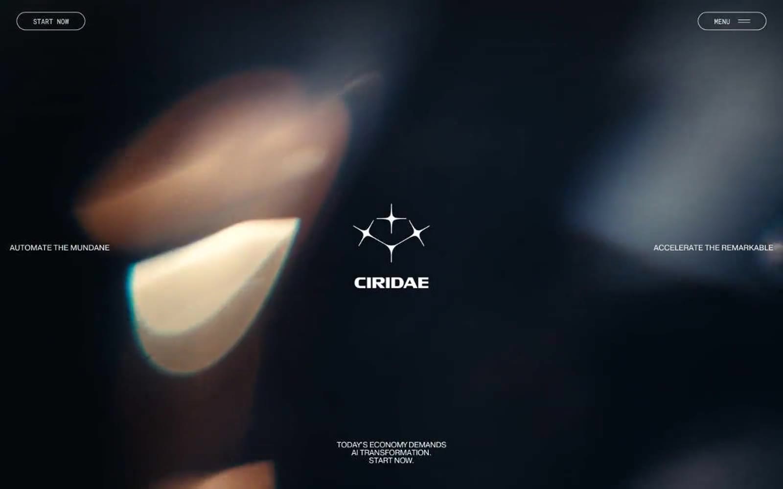 Ciridae