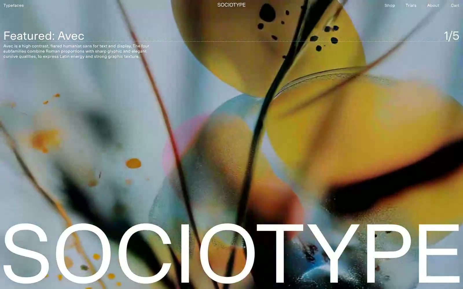 Sociotype